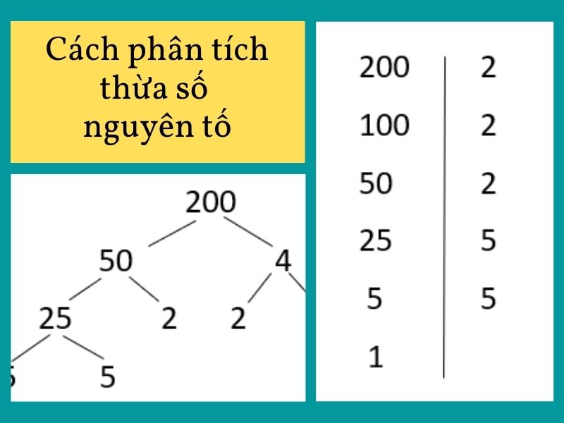 Cách phân tích thừa số nguyên tố lớp 6