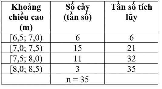 Bảng tần số tích lũy chiều cao cây bạch đàn