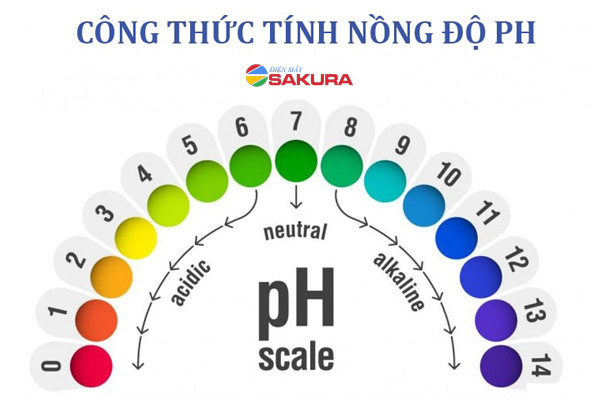 Biểu đồ giải thích công thức tính nồng độ H+ và pH