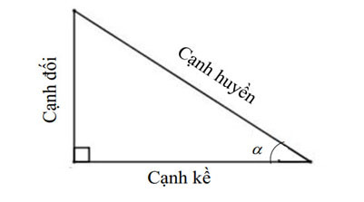 Hình ảnh minh họa tỷ số lượng giác trong tam giác vuông với góc nhọn