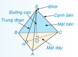 Hình chóp tam giác đều cơ bản