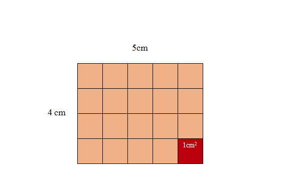 Hình vuông có cạnh 5 cm được chia thành các ô vuông nhỏ 1cm2
