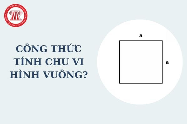 Học sinh lớp 3 học cách tính chu vi hình vuông