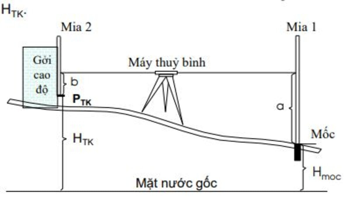 Kỹ thuật đo và tính toán cao độ cắt đầu cọc trong xây dựng