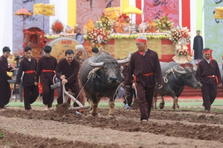 Nghi thức cày ruộng trong Lễ hội Tịch điền Đọi Sơn, tái hiện truyền thống dĩ nông vi bản
