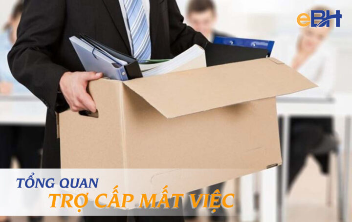 Tổng quan về chế độ trợ cấp mất việc làm, quyền lợi người lao động
