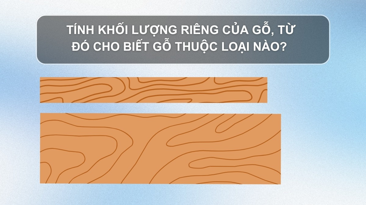 Bài tập ứng dụng công thức tính khối lượng m vật lý