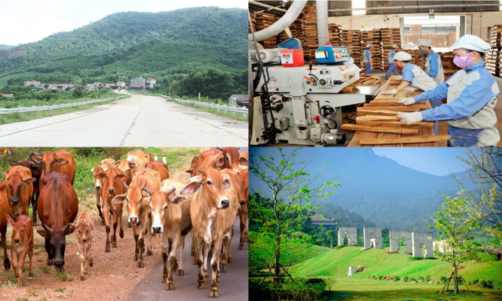 Bản đồ quy hoạch tổng thể phát triển kinh tế huyện Sơn Động tỉnh Bắc Giang