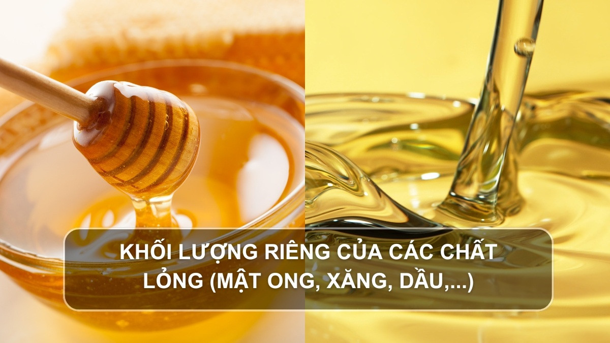 Bảng khối lượng riêng của các chất lỏng phổ biến
