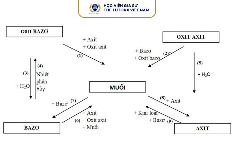 Bảng minh họa các quy tắc dự đoán sản phẩm của phản ứng hóa học