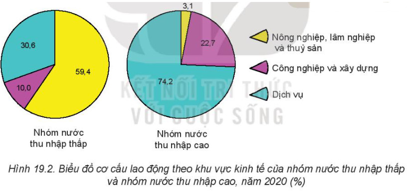 Biểu đồ cơ cấu dân số theo lao động, thể hiện sự phân bổ nguồn lực kinh tế và ảnh hưởng đến tăng trưởng dân số.