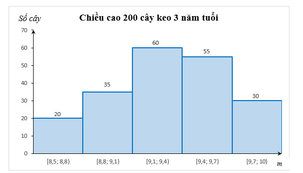 Biểu đồ cột biểu diễn phân bố chiều cao cây keo