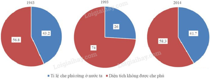 Biểu đồ thể hiện xu hướng tăng giảm tỷ lệ che phủ rừng tại Việt Nam theo từng giai đoạn