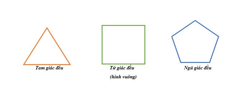 Các dạng đa giác phổ biến cần tính chu vi