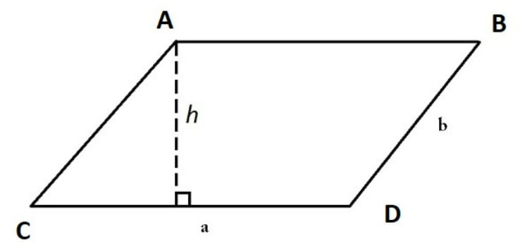 Các thuộc tính của hình bình hành bao gồm đường chéo và góc