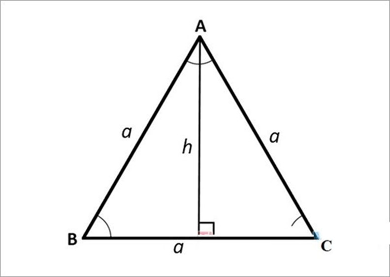 Cách tính diện tích tam giác đều cạnh a