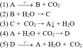 Chuỗi phương trình hóa học lớp 9 với các hợp chất của canxi