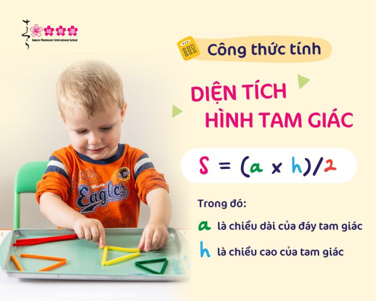 Công thức tính diện tích tam giác vuông cân từ cạnh góc vuông