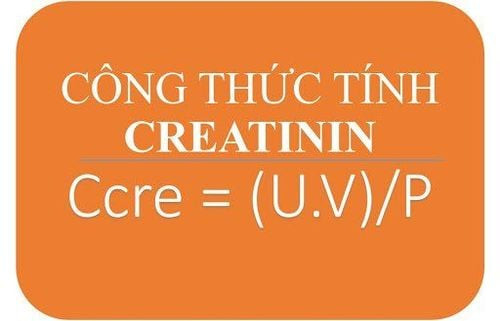 Công thức tính độ thanh thải creatinin và các chỉ số liên quan