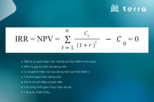 Công thức tính IRR bằng tay và các thành phần chính