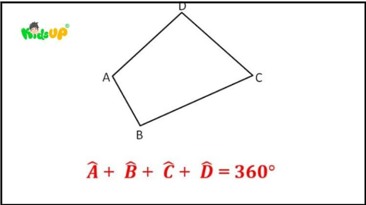 Đặc điểm cơ bản của hình tứ giác cho học sinh lớp 2