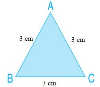 Độ dài các cạnh của hình tam giác ABC đã được đo để xác định chu vi