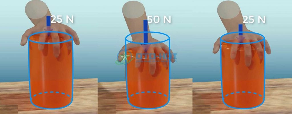 Đồ thị Hysteresis thể hiện sự mất năng lượng trong vật liệu cao su