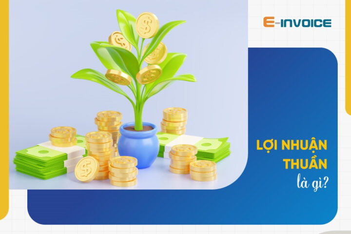 Doanh nghiệp đang tìm hiểu về khái niệm lợi nhuận thuần và các chỉ số tài chính