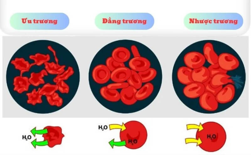 Dung dịch nhược trương