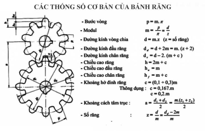 Hai bánh răng ăn khớp, minh họa nguyên lý truyền động và tầm quan trọng của việc tính toán số răng bánh răng chính xác để đảm bảo hoạt động trơn tru.