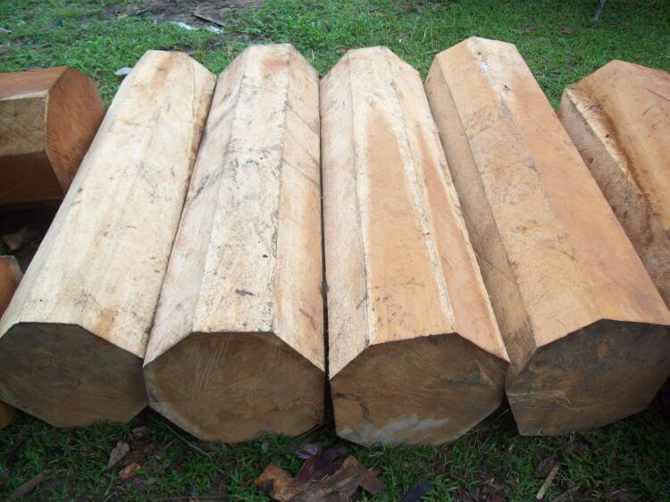 Hình ảnh khúc gỗ tròn tự nhiên, chuẩn bị đo thể tích gỗ