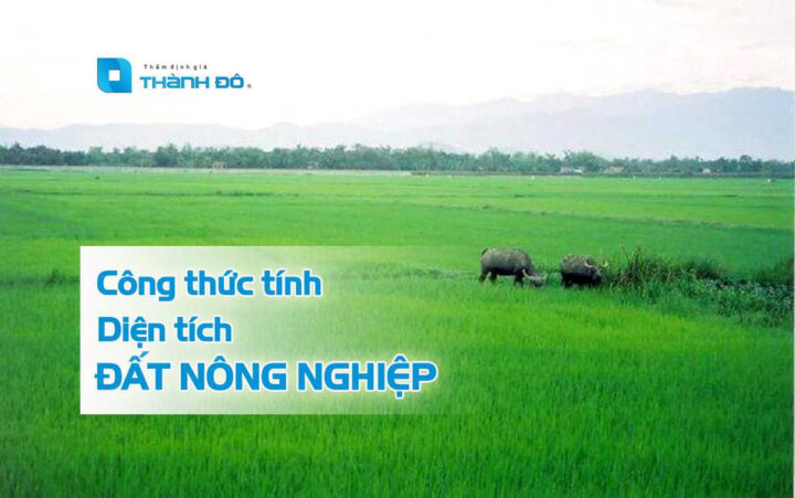 Hình ảnh minh họa công thức tính diện tích đất nông nghiệp, đặc biệt là diện tích lúa được tính bằng các phương pháp chuẩn xác.