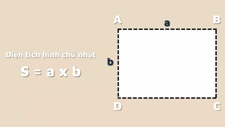 Hình ảnh minh họa công thức tính diện tích hình chữ nhật với chiều dài và chiều rộng