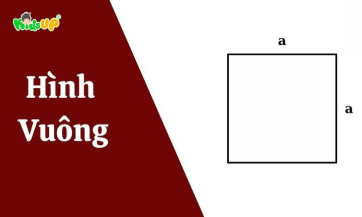 Hình ảnh minh họa định nghĩa và cấu trúc cơ bản của hình vuông trong hình học