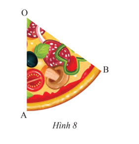 Hình ảnh minh họa miếng bánh pizza dạng hình quạt tròn, giúp dễ hình dung việc tính diện tích hình quạt tròn bán kính 5 cm trong thực tế.