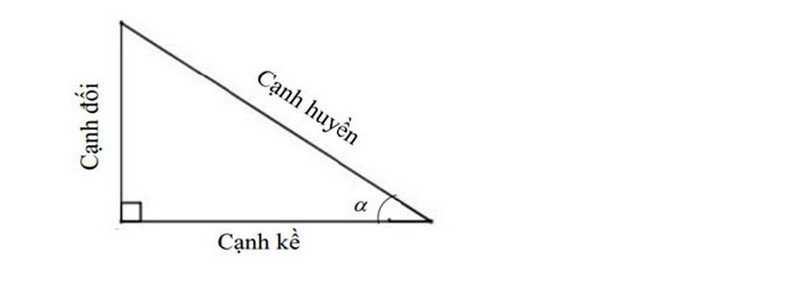 Hình ảnh minh họa tỉ số lượng giác của một góc nhọn, cơ sở công thức tính sin cos tan cot