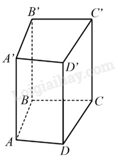 Hình lăng trụ đứng tứ giác ABCD.A'B'C'D' với các mặt bên là hình chữ nhật.