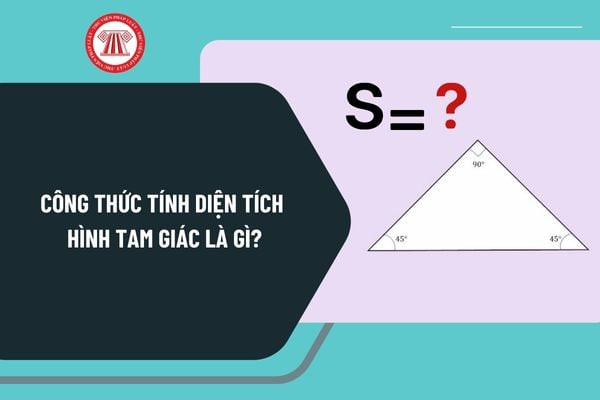 Hình minh họa công thức cơ bản tính diện tích hình tam giác
