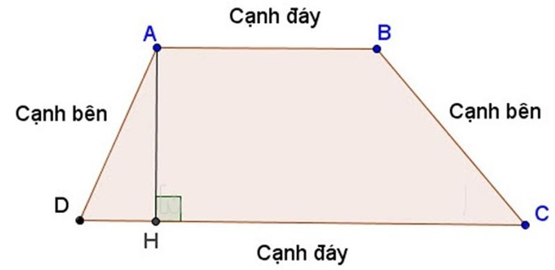 Hình thang thường với hai đáy và chiều cao