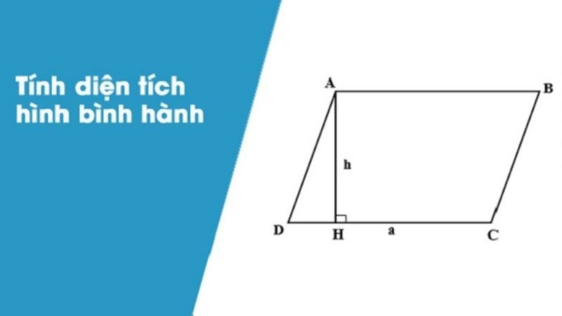 Hình vẽ một hình bình hành minh họa cho diện tích bề mặt bên trong