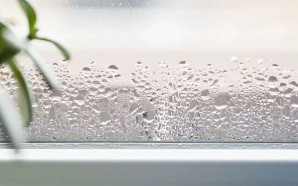 Học sinh thực hiện thí nghiệm về độ ẩm không khí, quan sát biểu đồ