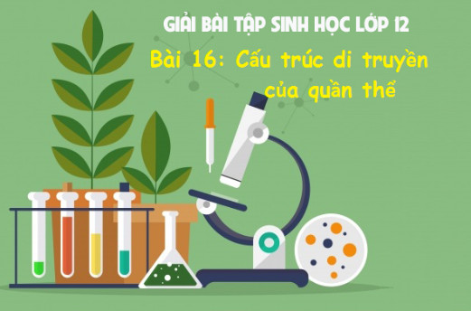Hướng dẫn chi tiết các bước tính tần số alen hiệu quả