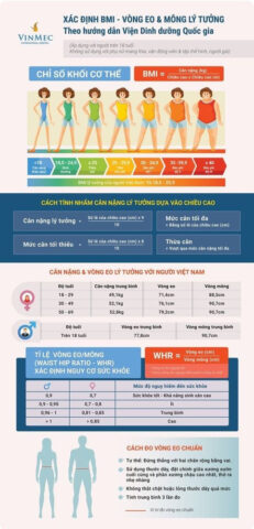 Infographic hướng dẫn cách tính chỉ số BMI và phân loại béo phì theo tiêu chuẩn y tế
