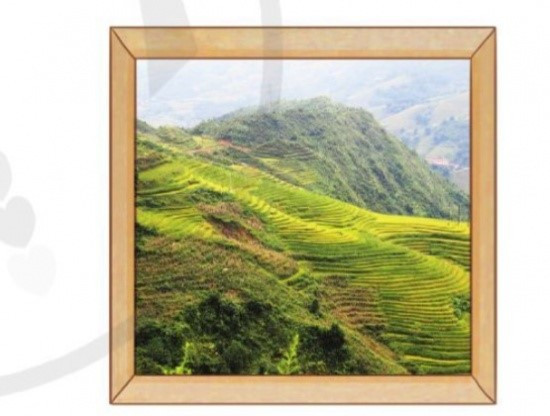 Khung tranh hình vuông