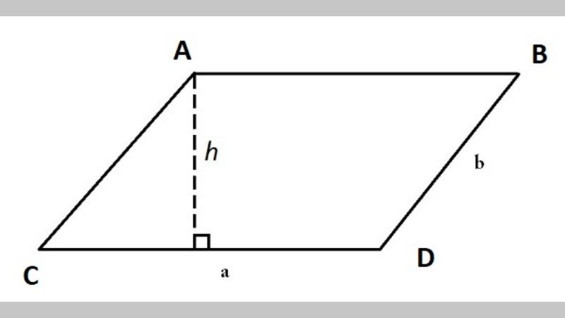 Kiến trúc nhà ở hiện đại sử dụng các yếu tố hình bình hành, minh họa ứng dụng thực tế của hình học