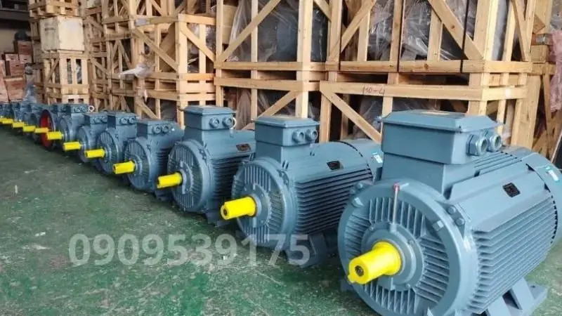 Lựa chọn động cơ điện 3 pha với công suất phù hợp cho hệ thống máy móc