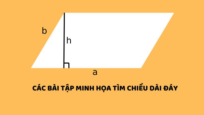 Luyện tập tính độ dài cạnh đáy hình bình hành qua các ví dụ cụ thể