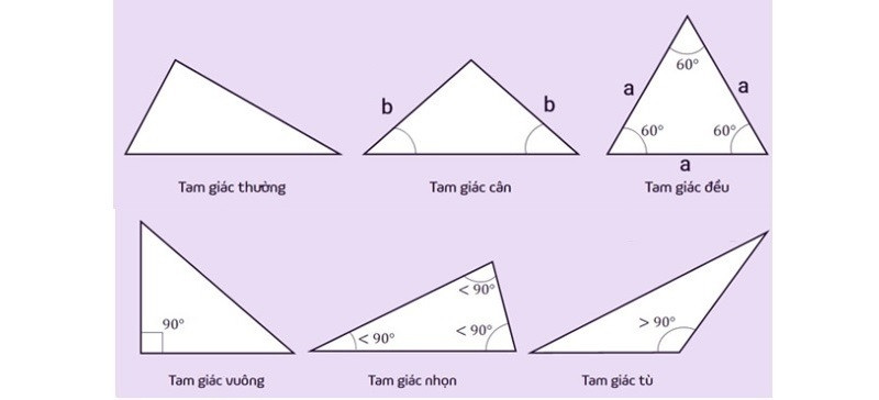 Minh họa các loại tam giác phổ biến trong hình học, phân biệt đặc điểm của từng loại