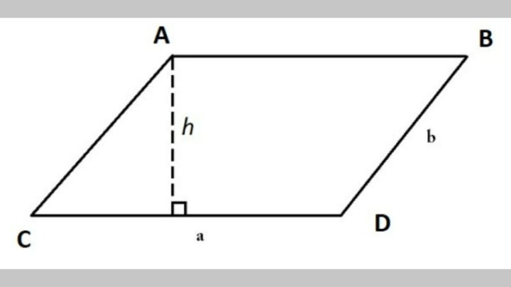 Minh họa một hình bình hành với các cạnh và góc đối diện bằng nhau