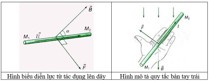 Minh họa quy tắc bàn tay trái xác định chiều của lực từ F